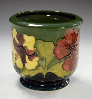 Lot 383 - Moorcroft - 'Hibiscus' jardinière