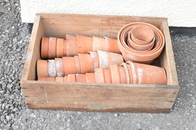 Lot 825 - Box of terracotta garden plant pots