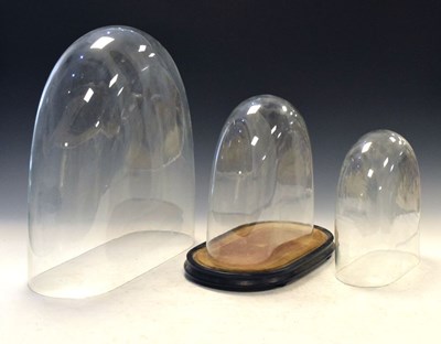 Lot 298 - Three glass domes and wooden base