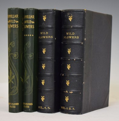 Lot 334 - F. Edward Hulme - 'Familiar Wild Flowers' - Seven volumes, c1880