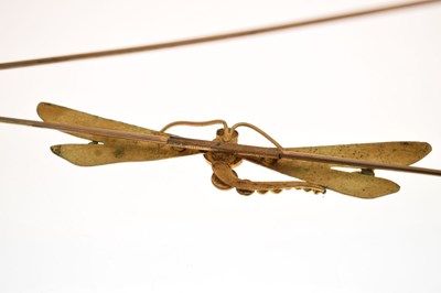 Lot 70 - Large Art Nouveau style dragonfly cloak pin