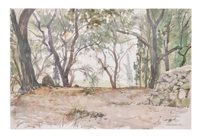 Lot 732 - Neil Murison RWA (1930-2018) - Watercolour - 'Olive Groves Early Morning'