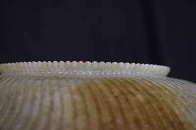 Lot 323 - Chinese celadon jade 'Chrysanthemum' dish
