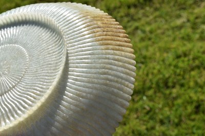 Lot 323 - Chinese celadon jade 'Chrysanthemum' dish