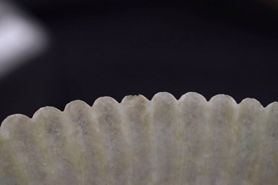 Lot 323 - Chinese celadon jade 'Chrysanthemum' dish