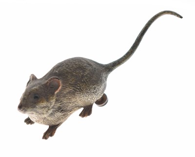 Lot 161 - Early 20th century Austrian cold-painted bronze mouse