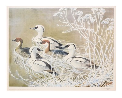 Lot 726 - Charles Frederick Tunnicliffe RA (1901-1979) - Signed limited edition print - 'Smew'