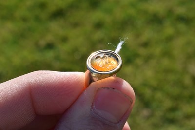 Lot 67 - Chalcedony intaglio yellow metal signet ring, possibly Roman