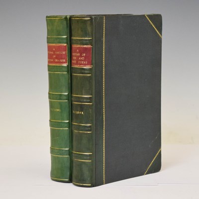 Lot 701 - E.J. Lowe, 'New and Rare Ferns' and 'British Grasses', 1865
