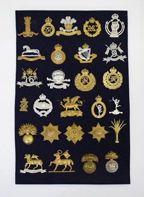 Lot 332 - Mixed group of cap badges, and reference books