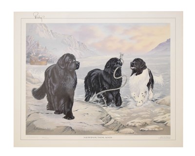 Lot 714 - Royal Interest - Anne Mainman - Signed limited edition print