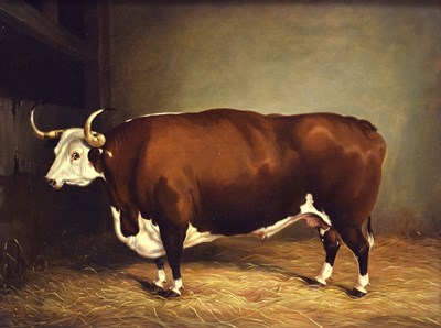 Lot 262 - Primitive School, mid 19th century - Longhorn bull in a cowshed