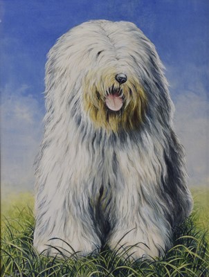 Lot 596 - Stuart Maxwell Armfield (British, 1916-2000) - Watercolour of an Old English Sheepdog