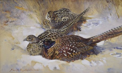Lot 304 - Frank Southgate, RBA (British, 1872-1916) - Watercolour - Cock pheasant and two hen pheasants