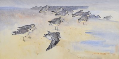 Lot 308 - Frank Southgate RBA (British, 1872-1916) - Watercolour - Sandpipers