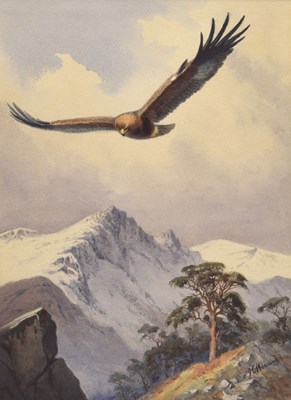 Lot 334 - John Cyril Harrison (British, 1898-1985) - Watercolour - Soaring Eagle