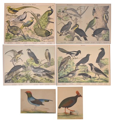 Lot 621 - Pair of late 18th century hand coloured ornithological prints plus set of four 19th century prints
