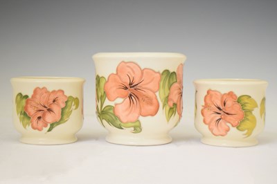 Lot 508 - Moorcroft - Three 'Hibiscus' pattern small jardinière