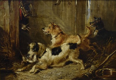 Lot 609 - Attributed to George Armfield (1810-1893) - Oil on canvas - Terriers Ratting