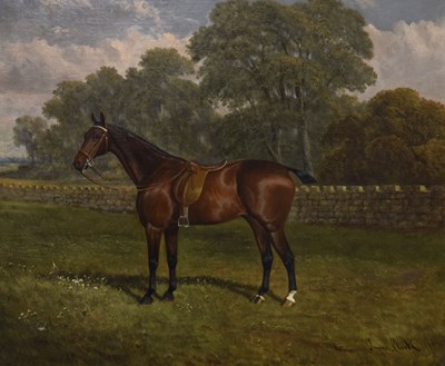 Lot 404 - James Clark (1858-1943) - Oil on canvas - Portrait of a thoroughbred Hackney horse