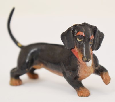 Lot 363 - Austrian cold painted bronze model of a black and tan Dachshund