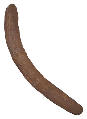 Lot 354 - Australian First Nations Peoples stone carved wooden boomerang