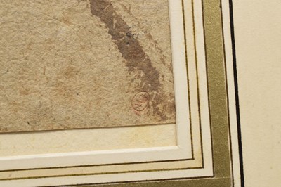 Lot 387 - Attributed to Jan de Bray, (Dutch, 1626/7-1697) - Chalk and watercolour wash - Head of a youth
