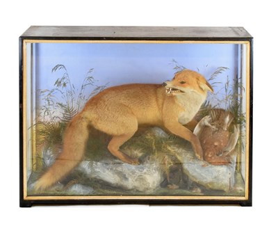 Lot 320 - Taxidermy - Fox with game bird