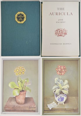 Lot 500 - Jose Escofet (Spanish, b.1930) - 'The Auricula'