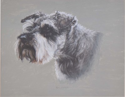 Lot 739 - English School, mid 20th century - Acrylic on board - 'Skipper', a terrier or miniature Schnauzer dog