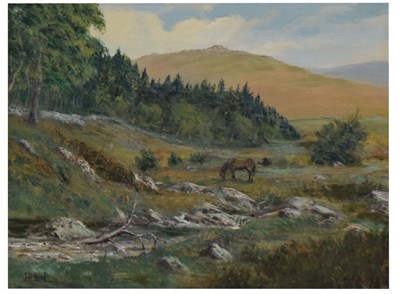 Lot 713 - John Hewitt (1922 - 2006) - Oil on board - Rural scene with horse, possibly Cornwall
