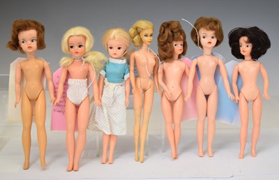 Lot 527 - Collection of Sindy dolls, etc