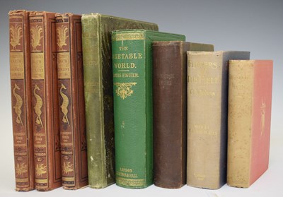 Lot 616 - Collection of natural history and nature books