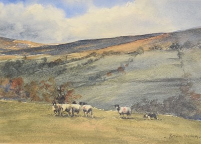 Lot 640 - Brian Irving (British, 1931-2013) - Watercolour - Landscape with sheep
