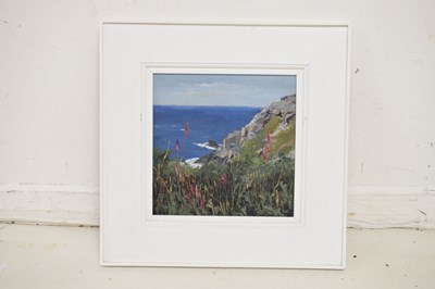 Lot 423 - David Beer (British, b.1943) - Oil on board - Foxgloves at Botalloch