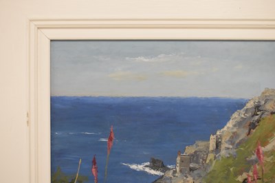 Lot 423 - David Beer (British, b.1943) - Oil on board - Foxgloves at Botalloch