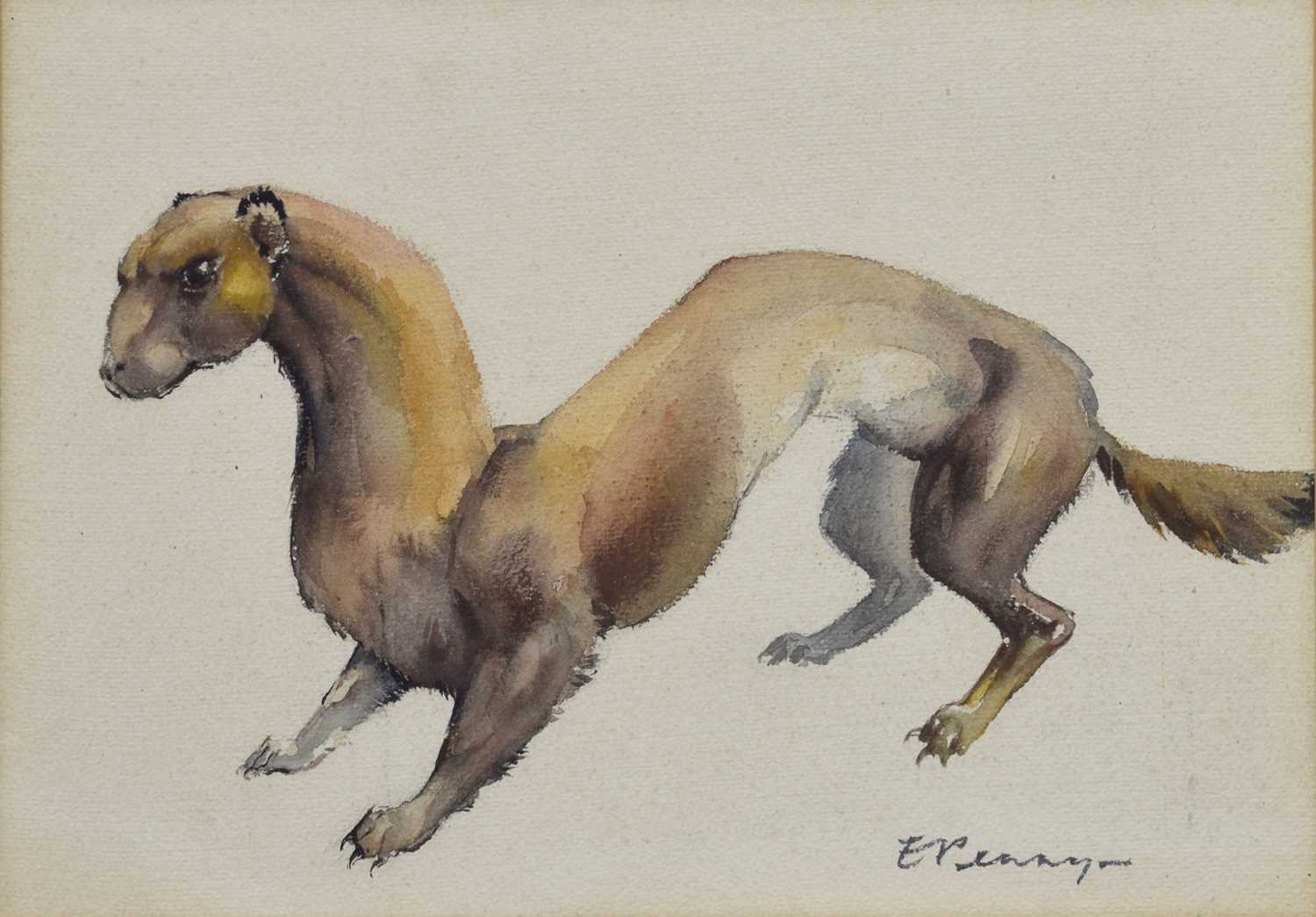 Lot 420 - Edwin Penny (British, 1930-2016) - Watercolour - Stoat