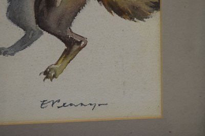 Lot 420 - Edwin Penny (British, 1930-2016) - Watercolour - Stoat