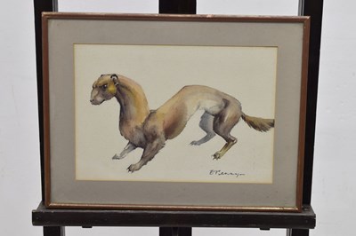 Lot 420 - Edwin Penny (British, 1930-2016) - Watercolour - Stoat
