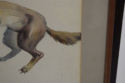 Lot 420 - Edwin Penny (British, 1930-2016) - Watercolour - Stoat