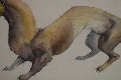 Lot 420 - Edwin Penny (British, 1930-2016) - Watercolour - Stoat