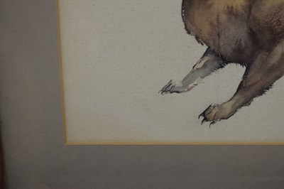 Lot 420 - Edwin Penny (British, 1930-2016) - Watercolour - Stoat