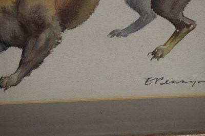 Lot 420 - Edwin Penny (British, 1930-2016) - Watercolour - Stoat
