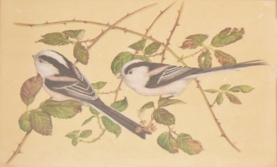 Lot 628 - 20th century English school - Watercolour heightened with white - Two finches