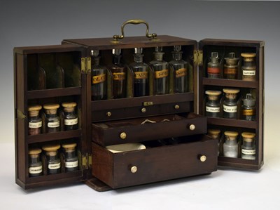 Lot 261 - Mahogany table top medicine or apothecary cabinet