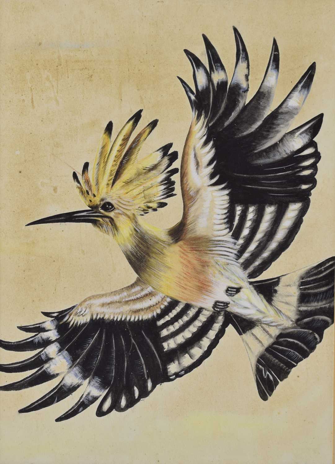 Lot 422 - Attributed to Edwin Penny (British, 1930-2016) - Watercolour - Hoopoe
