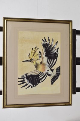 Lot 422 - Attributed to Edwin Penny (British, 1930-2016) - Watercolour - Hoopoe