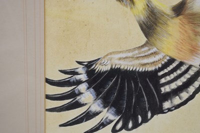 Lot 422 - Attributed to Edwin Penny (British, 1930-2016) - Watercolour - Hoopoe