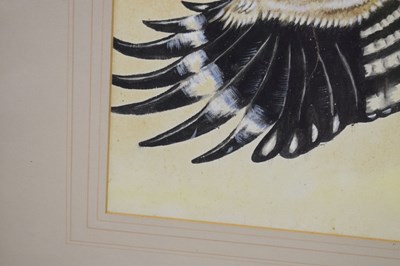 Lot 422 - Attributed to Edwin Penny (British, 1930-2016) - Watercolour - Hoopoe
