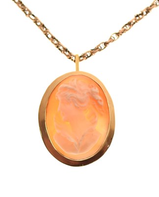 Lot 51 - Cameo pendant/brooch